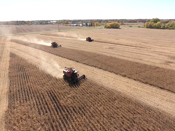 aerial view of combines harvesting soybeans